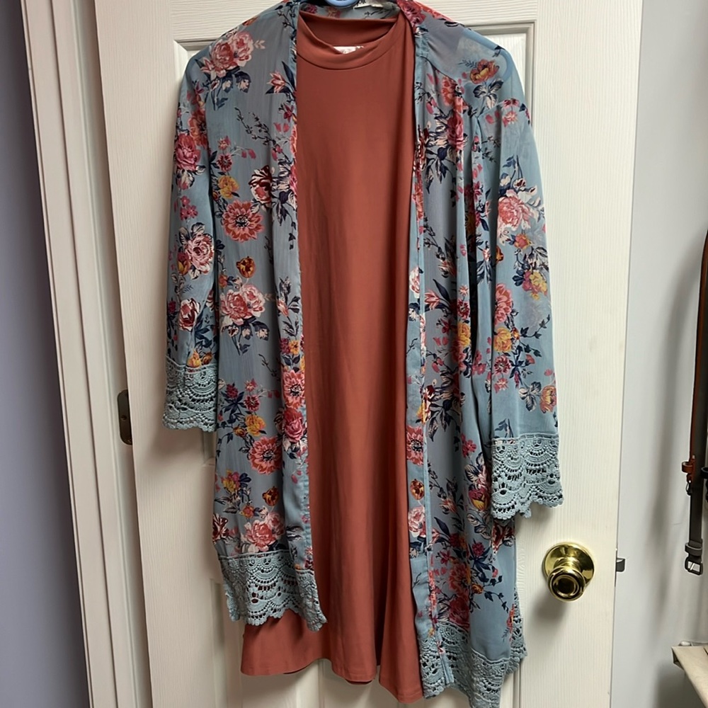Dress and cardigan are separate, selling together. Great condition.